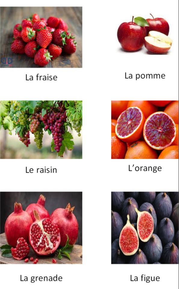 Les fruits1